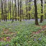 L'oree Des Caps مكان تخييم Licques