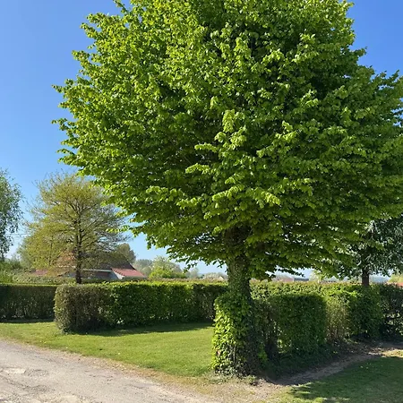 Kemping L'oree Des Caps Licques