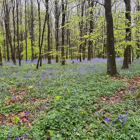 L'oree Des Caps Campsite Licques